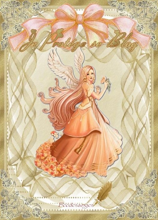 Mon ange gardien de blog
